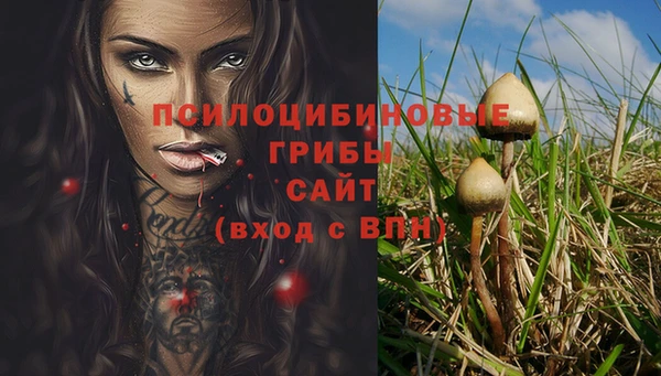 трава Пестово