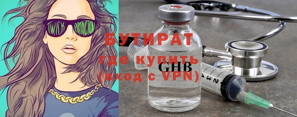 МДПВ Пересвет