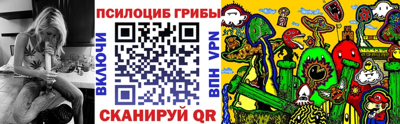 Псилоцибиновые грибы GOLDEN TEACHER  Балтийск 